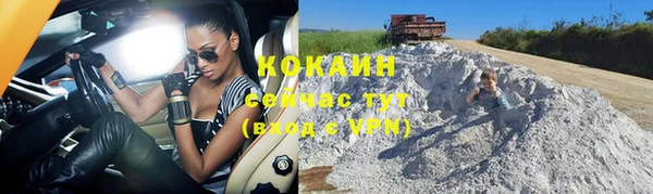 крисы Ладушкин