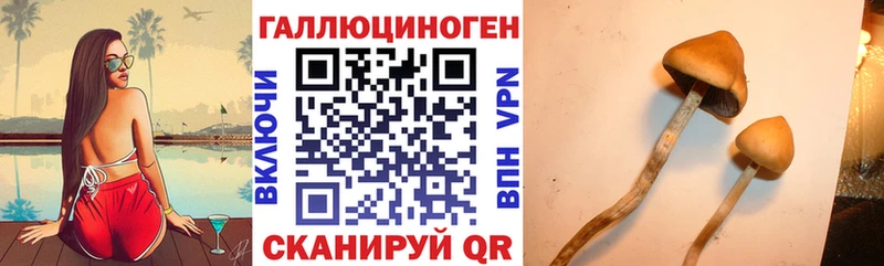 Галлюциногенные грибы Magic Shrooms  Купить закладки  Рузаевка 